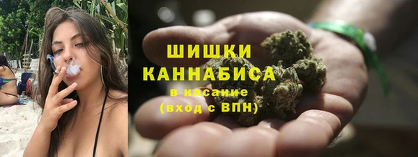 ECSTASY Ладушкин