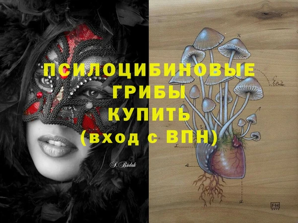 mix Лабытнанги