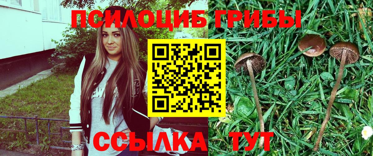 Хасавюрт  Псилоцибиновые грибы Psilocybine cubensis  Галлюциногенные грибы Magic Shrooms  Вход с VPN 